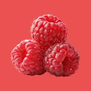 Berry Bloom